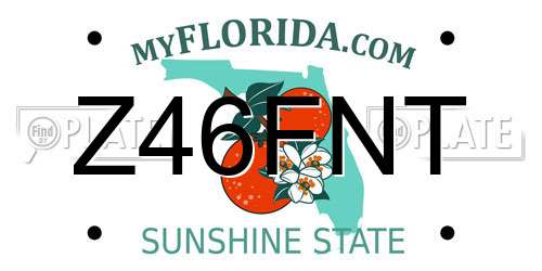 Z46FNT Florida License Plate