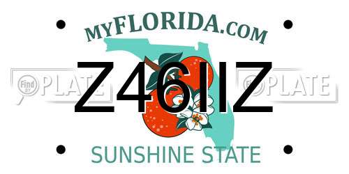 Z46IIZ Florida License Plate
