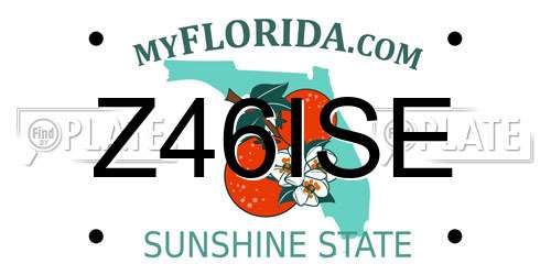 Z46ISE Florida License Plate