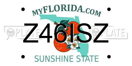 Z46ISZ Florida License Plate