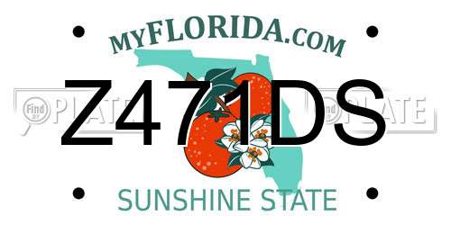 Z471DS Florida License Plate