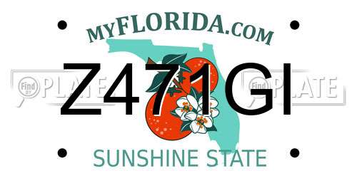 Z471GI Florida License Plate