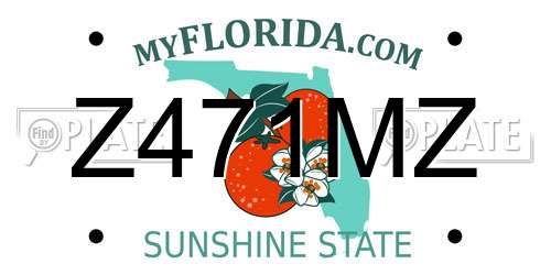 Z471MZ Florida License Plate