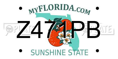 Z471PB Florida License Plate