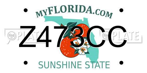Z473CC Florida License Plate