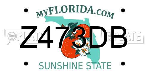 Z473DB Florida License Plate
