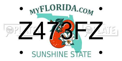 Z473FZ Florida License Plate