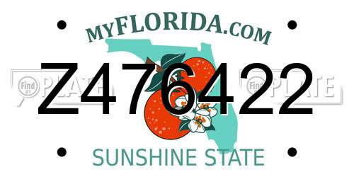 Z476422 Florida License Plate