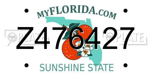 Z476427 Florida License Plate