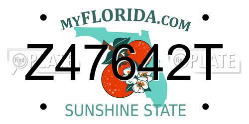 Z47642T Florida License Plate