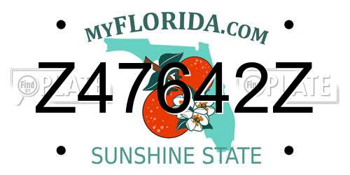 Z47642Z Florida License Plate