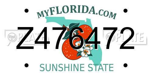 Z476472 Florida License Plate