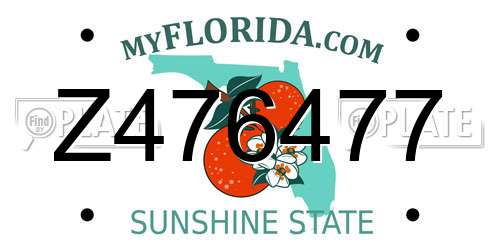Z476477 Florida License Plate
