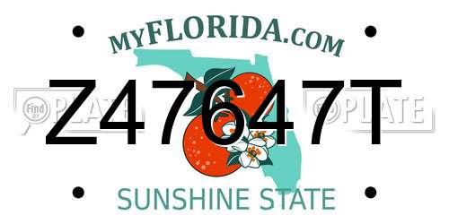 Z47647T Florida License Plate