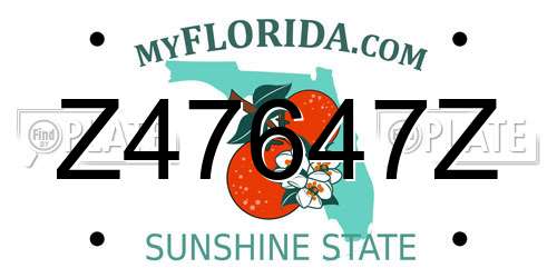 Z47647Z Florida License Plate
