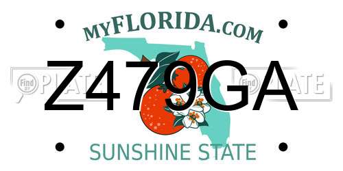 Z479GA Florida License Plate