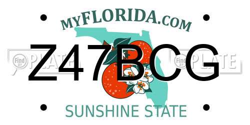 Z47BCG Florida License Plate