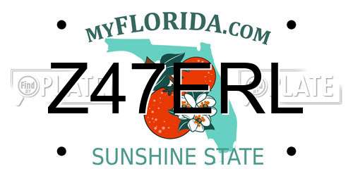 Z47ERL Florida License Plate