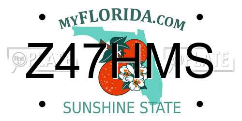 Z47HMS Florida License Plate