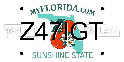 Z47IGT Florida License Plate