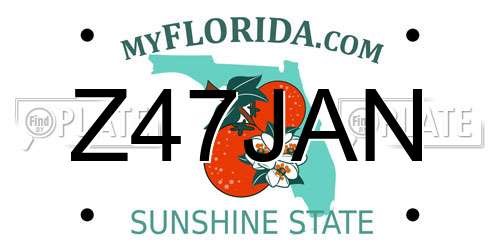Z47JAN Florida License Plate