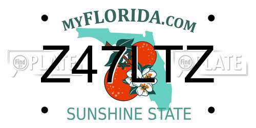 Z47LTZ Florida License Plate