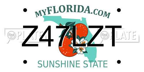 Z47LZT Florida License Plate