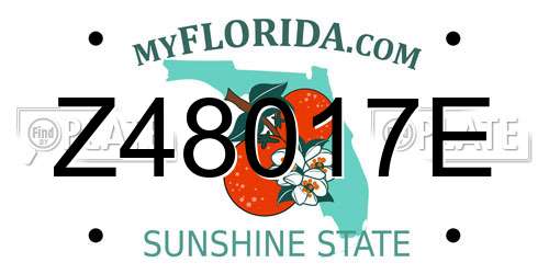 Z48017E Florida License Plate