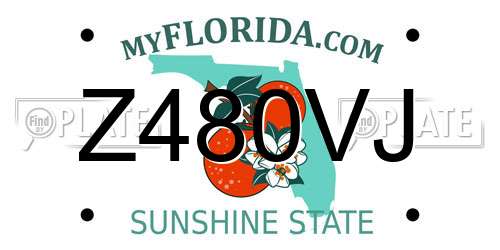 Z480VJ Florida License Plate