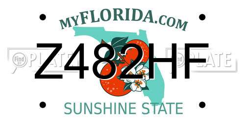 Z482HF Florida License Plate
