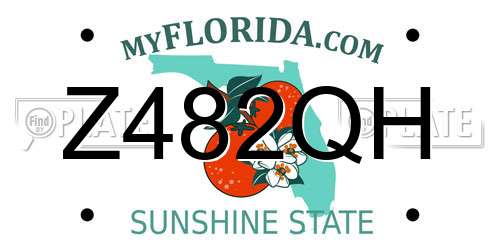 Z482QH Florida License Plate