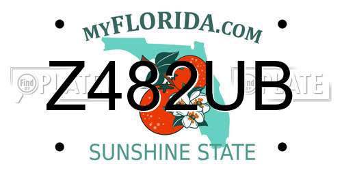Z482UB Florida License Plate