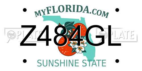 Z484GL Florida License Plate