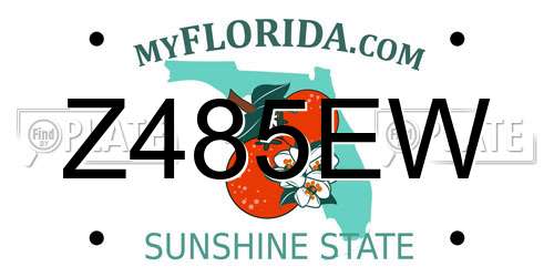 Z485EW Florida License Plate