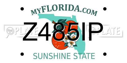 Z485IP Florida License Plate