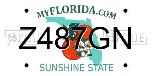 Z487GN Florida License Plate