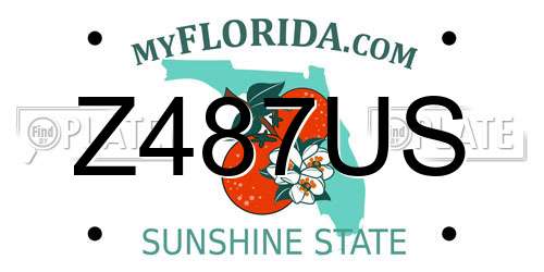 Z487US Florida License Plate
