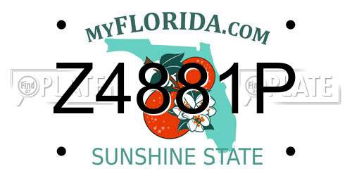 Z4881P Florida License Plate