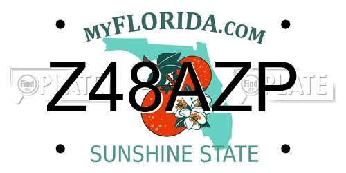 Z48AZP Florida License Plate