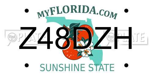 Z48DZH Florida License Plate