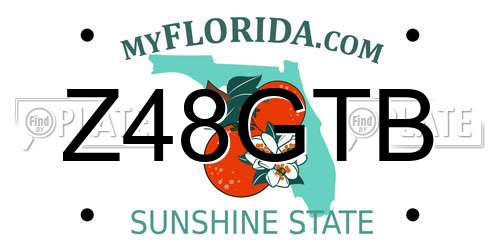 Z48GTB Florida License Plate
