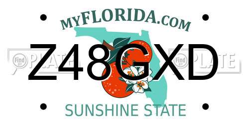 Z48GXD Florida License Plate