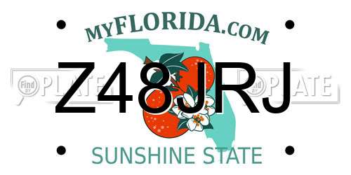 Z48JRJ Florida License Plate