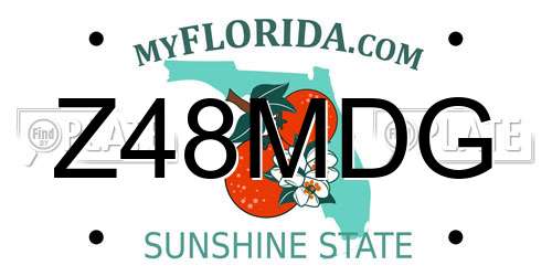 Z48MDG Florida License Plate