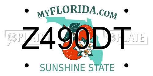 Z490DT Florida License Plate