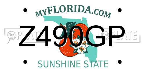 Z490GP Florida License Plate