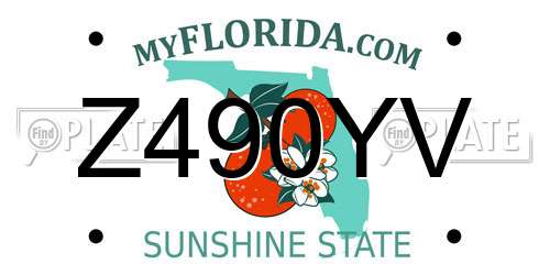 Z490YV Florida License Plate