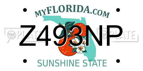Z493NP Florida License Plate