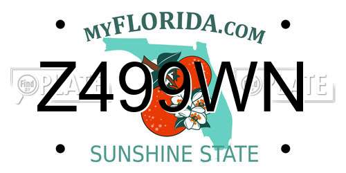 Z499WN Florida License Plate