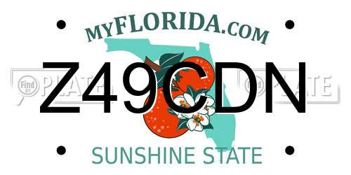 Z49CDN Florida License Plate